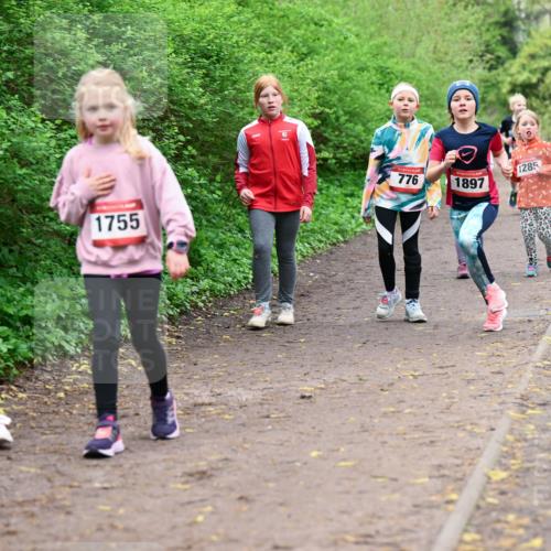 19.04.2026 - Hammer Lauf Dr. Thomas Lammeyer http://msf.ph/oto/9528605 19.04.2026 09:28:06 Laufen 1752, 1755, 776, 1897, 1285 meine-sportfotos.de