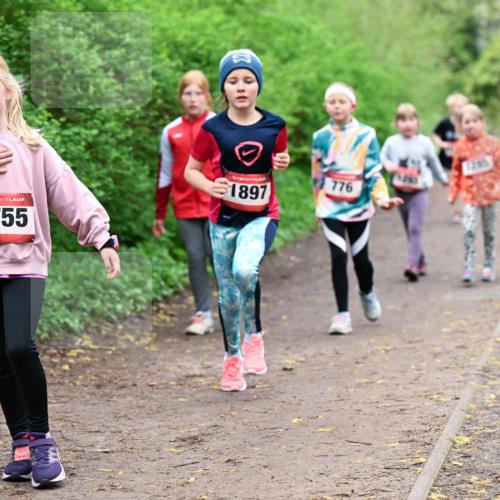 19.04.2026 - Hammer Lauf Dr. Thomas Lammeyer http://msf.ph/oto/9528619 19.04.2026 09:28:08 Laufen 1755, 1897, 776, 1209 meine-sportfotos.de