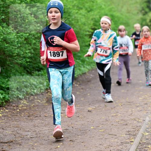 19.04.2026 - Hammer Lauf Dr. Thomas Lammeyer http://msf.ph/oto/9528621 19.04.2026 09:28:08 Laufen 1755, 1897, 776, 1285 meine-sportfotos.de