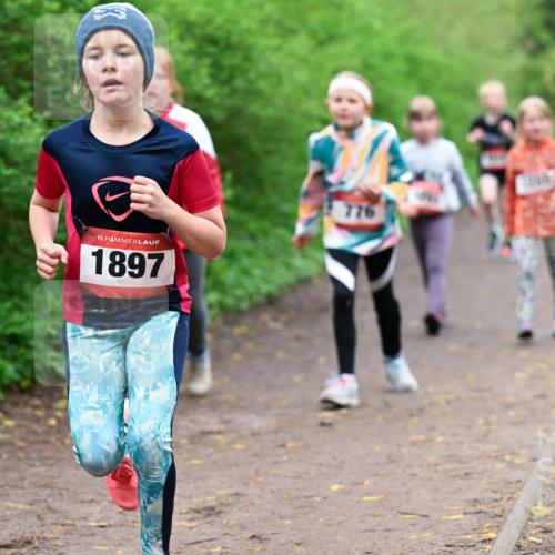 19.04.2026 - Hammer Lauf Dr. Thomas Lammeyer http://msf.ph/oto/9528625 19.04.2026 09:28:08 Laufen 1897, 776 meine-sportfotos.de