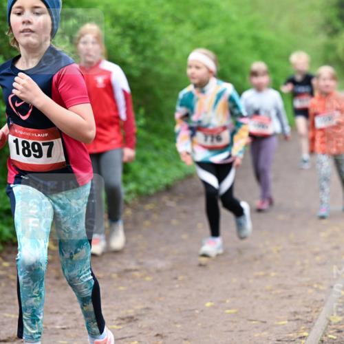 19.04.2026 - Hammer Lauf Dr. Thomas Lammeyer http://msf.ph/oto/9528627 19.04.2026 09:28:09 Laufen 1897, 776 meine-sportfotos.de
