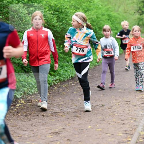 19.04.2026 - Hammer Lauf Dr. Thomas Lammeyer http://msf.ph/oto/9528628 19.04.2026 09:28:09 Laufen 897, 776, 1265, 191, 1285 meine-sportfotos.de