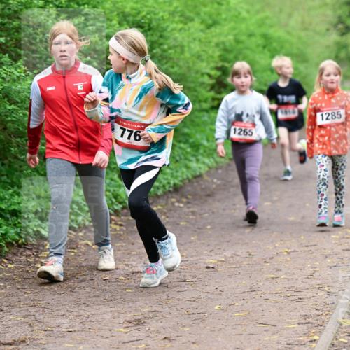 19.04.2026 - Hammer Lauf Dr. Thomas Lammeyer http://msf.ph/oto/9528630 19.04.2026 09:28:09 Laufen 776, 1285, 1265 meine-sportfotos.de