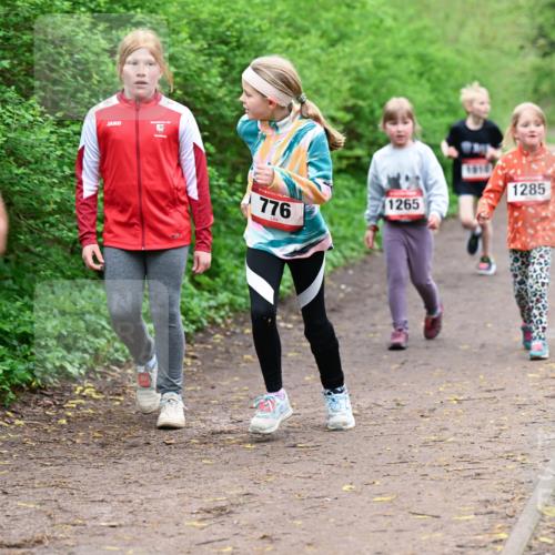 19.04.2026 - Hammer Lauf Dr. Thomas Lammeyer http://msf.ph/oto/9528631 19.04.2026 09:28:09 Laufen 1285, 1265, 776 meine-sportfotos.de