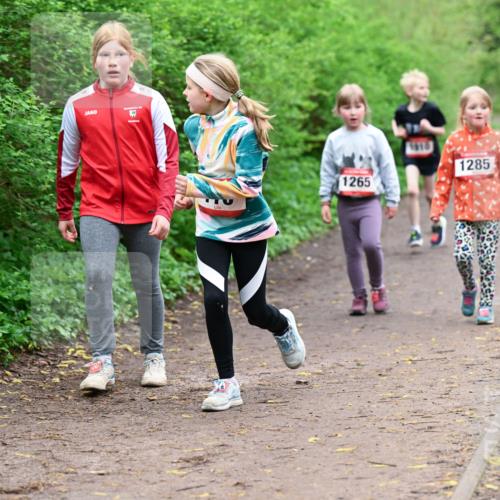 19.04.2026 - Hammer Lauf Dr. Thomas Lammeyer http://msf.ph/oto/9528633 19.04.2026 09:28:09 Laufen 1265, 1010, 1285 meine-sportfotos.de