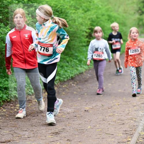 19.04.2026 - Hammer Lauf Dr. Thomas Lammeyer http://msf.ph/oto/9528634 19.04.2026 09:28:09 Laufen 776, 1285, 1265 meine-sportfotos.de