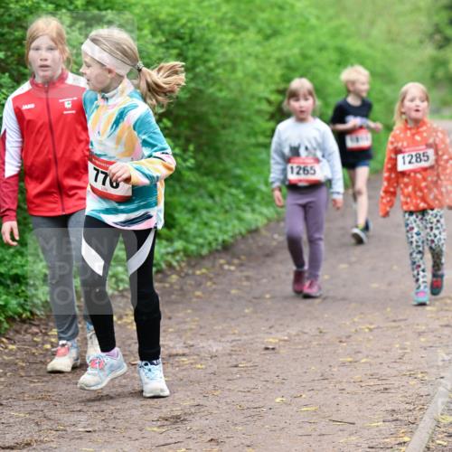 19.04.2026 - Hammer Lauf Dr. Thomas Lammeyer http://msf.ph/oto/9528636 19.04.2026 09:28:10 Laufen 1265, 1285 meine-sportfotos.de