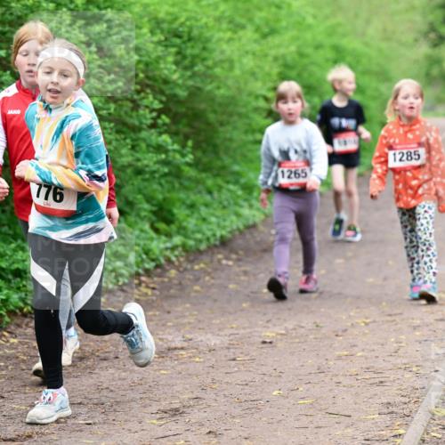 19.04.2026 - Hammer Lauf Dr. Thomas Lammeyer http://msf.ph/oto/9528638 19.04.2026 09:28:10 Laufen 776, 1265, 1285 meine-sportfotos.de