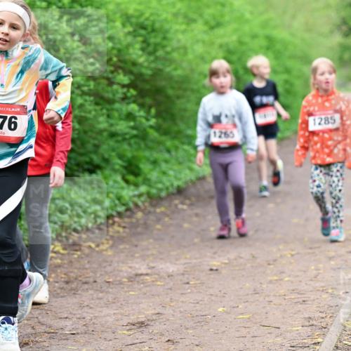 19.04.2026 - Hammer Lauf Dr. Thomas Lammeyer http://msf.ph/oto/9528644 19.04.2026 09:28:10 Laufen 776, 1285, 1265 meine-sportfotos.de