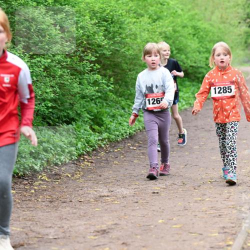 19.04.2026 - Hammer Lauf Dr. Thomas Lammeyer http://msf.ph/oto/9528648 19.04.2026 09:28:11 Laufen 1265, 1285 meine-sportfotos.de