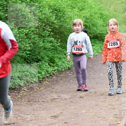 19.04.2026 - Hammer Lauf Dr. Thomas Lammeyer http://msf.ph/oto/9528650 19.04.2026 09:28:11 Laufen 1265, 1285 meine-sportfotos.de