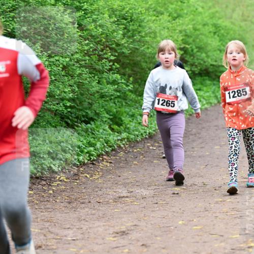 19.04.2026 - Hammer Lauf Dr. Thomas Lammeyer http://msf.ph/oto/9528651 19.04.2026 09:28:11 Laufen 1265, 1285 meine-sportfotos.de