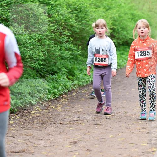19.04.2026 - Hammer Lauf Dr. Thomas Lammeyer http://msf.ph/oto/9528654 19.04.2026 09:28:11 Laufen 1265, 1285 meine-sportfotos.de
