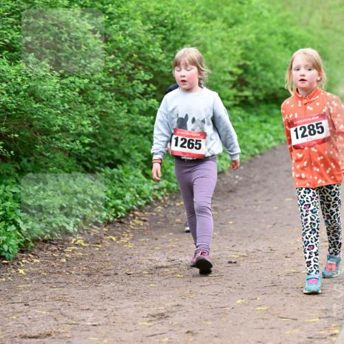 19.04.2026 - Hammer Lauf Dr. Thomas Lammeyer http://msf.ph/oto/9528661 19.04.2026 09:28:12 Laufen 1265, 1285 meine-sportfotos.de