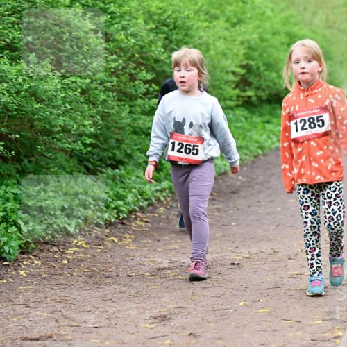 19.04.2026 - Hammer Lauf Dr. Thomas Lammeyer http://msf.ph/oto/9528662 19.04.2026 09:28:12 Laufen 1265, 1285 meine-sportfotos.de