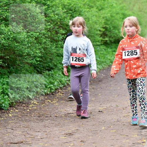 19.04.2026 - Hammer Lauf Dr. Thomas Lammeyer http://msf.ph/oto/9528664 19.04.2026 09:28:12 Laufen 1265, 1285 meine-sportfotos.de