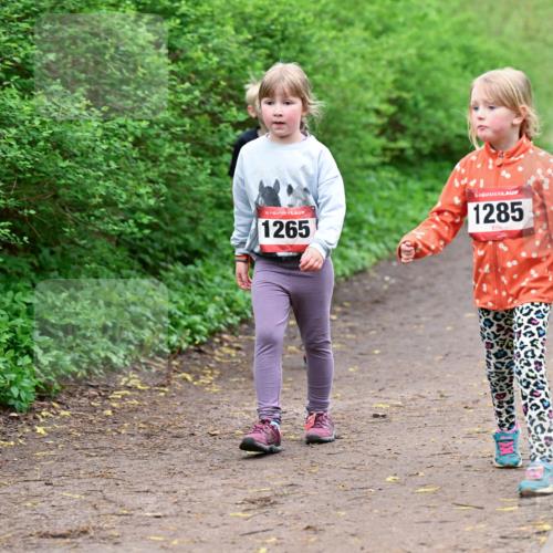 19.04.2026 - Hammer Lauf Dr. Thomas Lammeyer http://msf.ph/oto/9528665 19.04.2026 09:28:12 Laufen 1265, 1285 meine-sportfotos.de