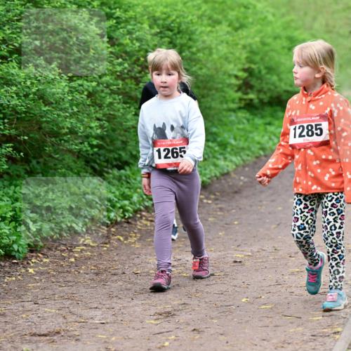 19.04.2026 - Hammer Lauf Dr. Thomas Lammeyer http://msf.ph/oto/9528667 19.04.2026 09:28:12 Laufen 1265, 1285 meine-sportfotos.de
