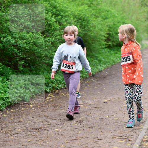 19.04.2026 - Hammer Lauf Dr. Thomas Lammeyer http://msf.ph/oto/9528673 19.04.2026 09:28:13 Laufen 1265, 285 meine-sportfotos.de