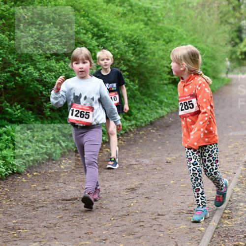 19.04.2026 - Hammer Lauf Dr. Thomas Lammeyer http://msf.ph/oto/9528676 19.04.2026 09:28:14 Laufen 1265, 285 meine-sportfotos.de