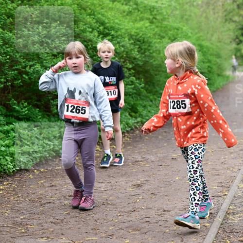 19.04.2026 - Hammer Lauf Dr. Thomas Lammeyer http://msf.ph/oto/9528679 19.04.2026 09:28:14 Laufen 1265, 910, 1285 meine-sportfotos.de