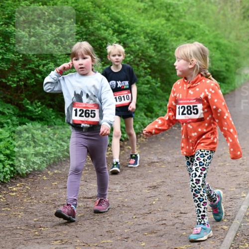 19.04.2026 - Hammer Lauf Dr. Thomas Lammeyer http://msf.ph/oto/9528681 19.04.2026 09:28:14 Laufen 1265, 1910, 1285 meine-sportfotos.de