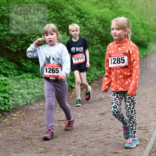 19.04.2026 - Hammer Lauf Dr. Thomas Lammeyer http://msf.ph/oto/9528682 19.04.2026 09:28:14 Laufen 1265, 1910, 1285 meine-sportfotos.de