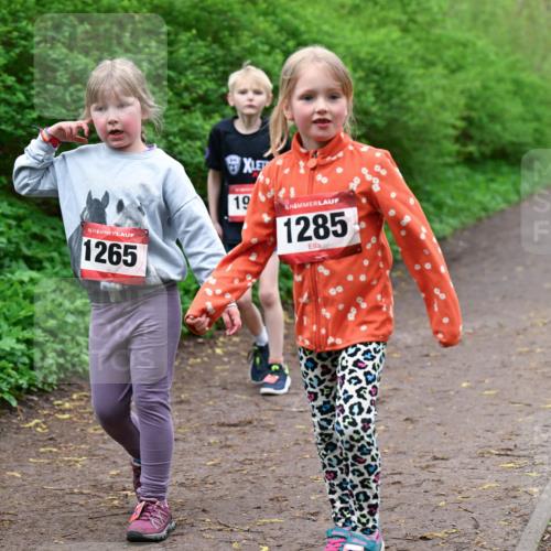 19.04.2026 - Hammer Lauf Dr. Thomas Lammeyer http://msf.ph/oto/9528685 19.04.2026 09:28:15 Laufen 1265, 1285 meine-sportfotos.de