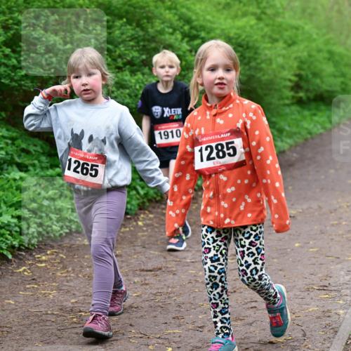19.04.2026 - Hammer Lauf Dr. Thomas Lammeyer http://msf.ph/oto/9528687 19.04.2026 09:28:15 Laufen 1265, 1910, 1285 meine-sportfotos.de