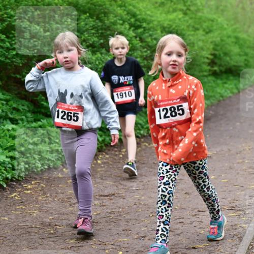 19.04.2026 - Hammer Lauf Dr. Thomas Lammeyer http://msf.ph/oto/9528688 19.04.2026 09:28:14 Laufen 1265, 1910, 1285 meine-sportfotos.de