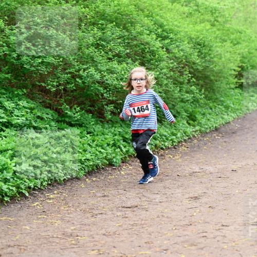 19.04.2026 - Hammer Lauf Dr. Thomas Lammeyer http://msf.ph/oto/9528692 19.04.2026 09:28:32 Laufen 1464 meine-sportfotos.de