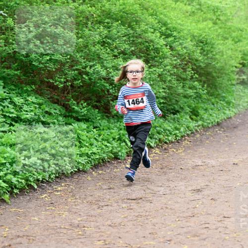 19.04.2026 - Hammer Lauf Dr. Thomas Lammeyer http://msf.ph/oto/9528693 19.04.2026 09:28:33 Laufen 1464 meine-sportfotos.de