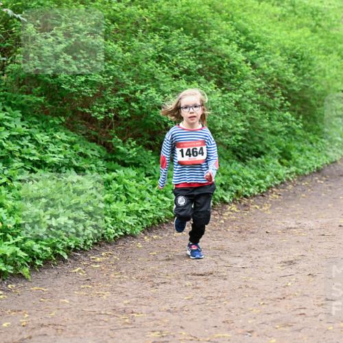 19.04.2026 - Hammer Lauf Dr. Thomas Lammeyer http://msf.ph/oto/9528695 19.04.2026 09:28:33 Laufen 1464 meine-sportfotos.de