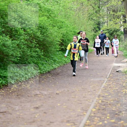 19.04.2026 - Hammer Lauf Dr. Thomas Lammeyer http://msf.ph/oto/9528699 19.04.2026 09:28:36 Laufen 1647, 746, 1510, 1484 meine-sportfotos.de