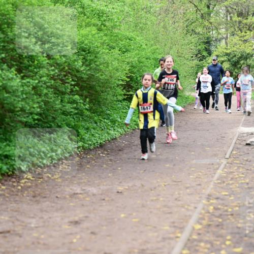 19.04.2026 - Hammer Lauf Dr. Thomas Lammeyer http://msf.ph/oto/9528706 19.04.2026 09:28:36 Laufen 1647, 746, 1381, 1510, 1484 meine-sportfotos.de