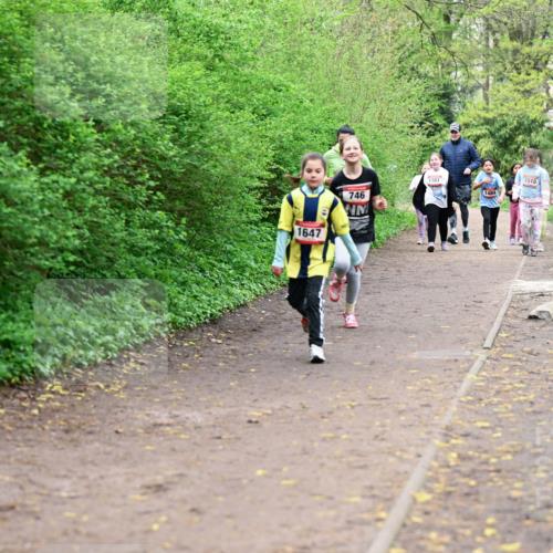 19.04.2026 - Hammer Lauf Dr. Thomas Lammeyer http://msf.ph/oto/9528707 19.04.2026 09:28:37 Laufen 1647, 746, 1381, 1510, 1484 meine-sportfotos.de