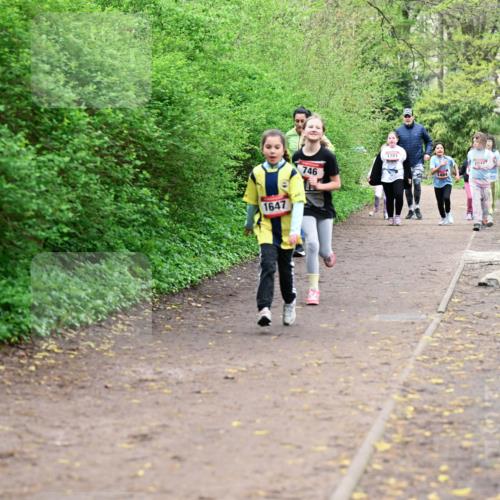 19.04.2026 - Hammer Lauf Dr. Thomas Lammeyer http://msf.ph/oto/9528709 19.04.2026 09:28:37 Laufen 1647, 746, 1381, 1484 meine-sportfotos.de