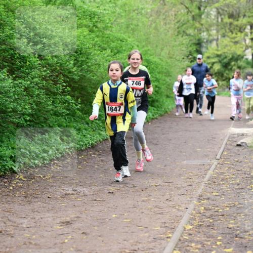 19.04.2026 - Hammer Lauf Dr. Thomas Lammeyer http://msf.ph/oto/9528717 19.04.2026 09:28:38 Laufen 1647, 746 meine-sportfotos.de