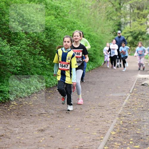 19.04.2026 - Hammer Lauf Dr. Thomas Lammeyer http://msf.ph/oto/9528722 19.04.2026 09:28:38 Laufen 746, 1647 meine-sportfotos.de