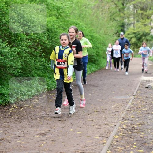19.04.2026 - Hammer Lauf Dr. Thomas Lammeyer http://msf.ph/oto/9528725 19.04.2026 09:28:38 Laufen 1647 meine-sportfotos.de