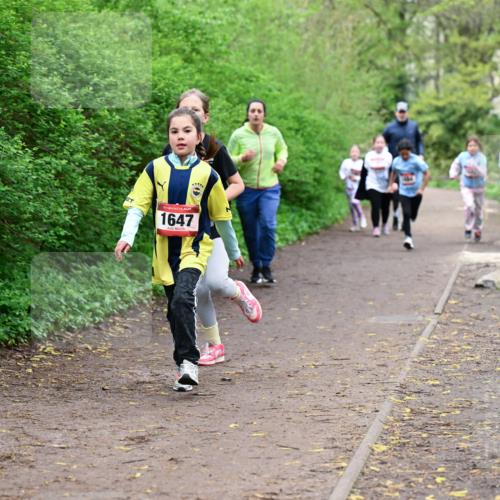 19.04.2026 - Hammer Lauf Dr. Thomas Lammeyer http://msf.ph/oto/9528726 19.04.2026 09:28:39 Laufen 1647 meine-sportfotos.de