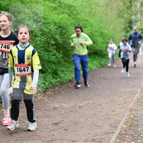 19.04.2026 - Hammer Lauf Dr. Thomas Lammeyer http://msf.ph/oto/9528736 19.04.2026 09:28:40 Laufen 746, 1647 meine-sportfotos.de