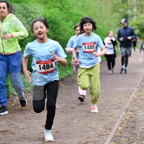 19.04.2026 - Hammer Lauf Dr. Thomas Lammeyer http://msf.ph/oto/9528756 19.04.2026 09:28:42 Laufen 1485, 1484 meine-sportfotos.de