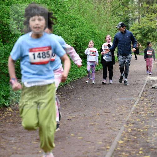19.04.2026 - Hammer Lauf Dr. Thomas Lammeyer http://msf.ph/oto/9528760 19.04.2026 09:28:42 Laufen 1485, 1861, 1381, 1366 meine-sportfotos.de