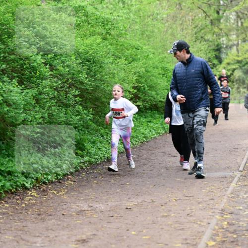 19.04.2026 - Hammer Lauf Dr. Thomas Lammeyer http://msf.ph/oto/9528783 19.04.2026 09:28:45 Laufen 186, 1366 meine-sportfotos.de
