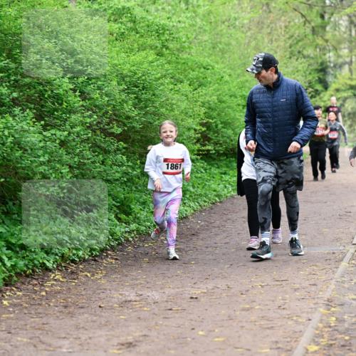 19.04.2026 - Hammer Lauf Dr. Thomas Lammeyer http://msf.ph/oto/9528788 19.04.2026 09:28:45 Laufen 1861, 1366 meine-sportfotos.de