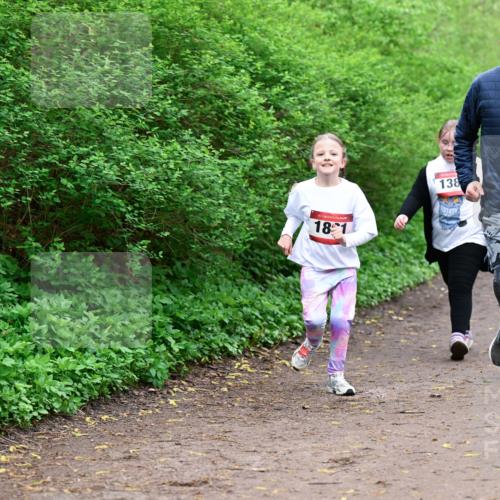 19.04.2026 - Hammer Lauf Dr. Thomas Lammeyer http://msf.ph/oto/9528800 19.04.2026 09:28:47 Laufen 138 meine-sportfotos.de
