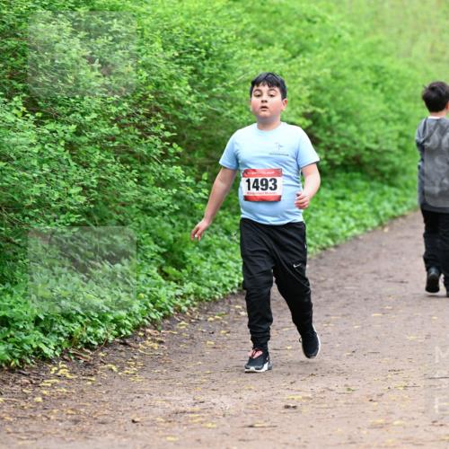 19.04.2026 - Hammer Lauf Dr. Thomas Lammeyer http://msf.ph/oto/9528869 19.04.2026 09:28:54 Laufen 1493 meine-sportfotos.de