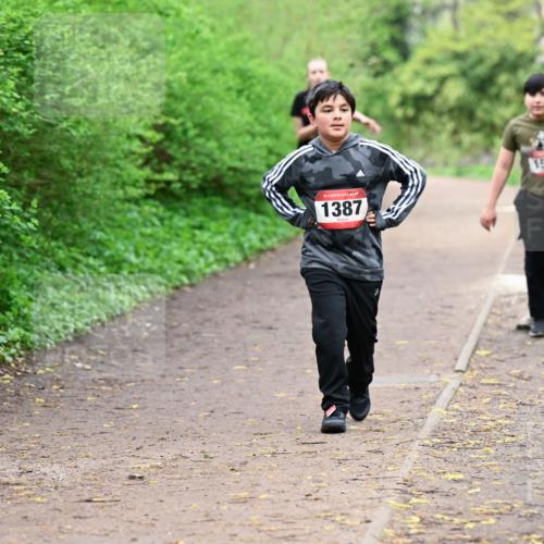 19.04.2026 - Hammer Lauf Dr. Thomas Lammeyer http://msf.ph/oto/9528906 19.04.2026 09:28:58 Laufen 1387, 1518 meine-sportfotos.de