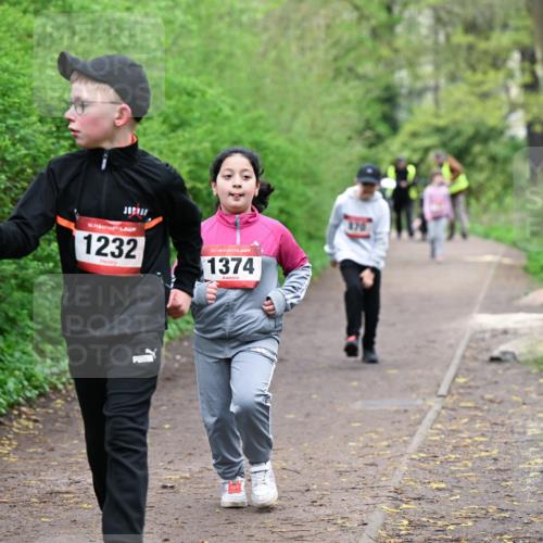 19.04.2026 - Hammer Lauf Dr. Thomas Lammeyer http://msf.ph/oto/9528999 19.04.2026 09:29:44 Laufen 1232, 1374 meine-sportfotos.de